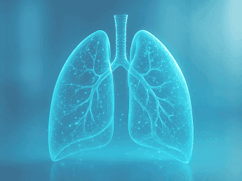 Digital illustration of lungs used in chronic cough and respiratory health monitoring